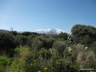 rre del Greco-19-03-2013 14-31-11